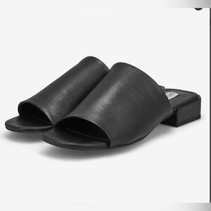 Steve Madden “anders” black dress slides.